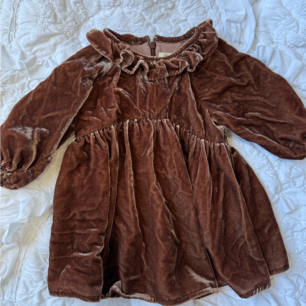 Noralee velvet dress